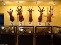 %D8%A8%D8%A7%D8%B1%DA%AF%DB%8C%D8%B1%DB%8C