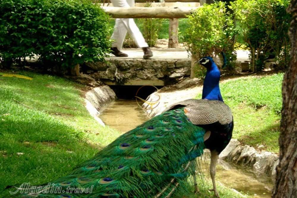 Alaedin Travel Agency Atractions Isfahan Birds Garden 1